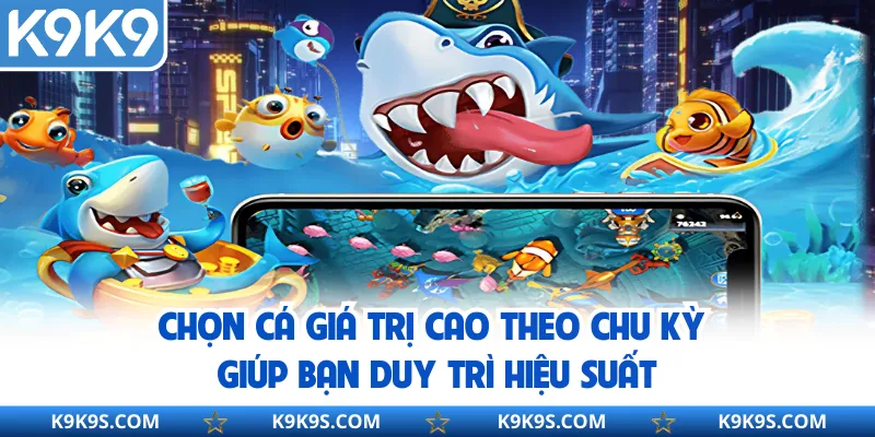 Chọn cá giá trị cao theo chu kỳ giúp bạn duy trì hiệu suất