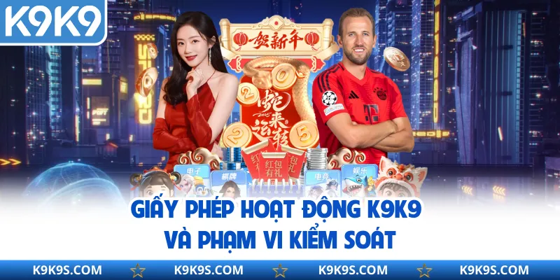 Giấy phép hoạt động K9K9 và phạm vi kiểm soát