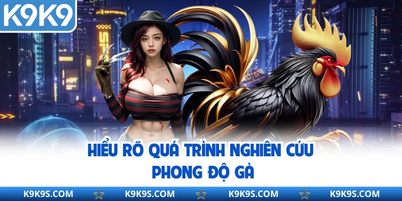 Hiểu rõ quá trình nghiên cứu phong độ gà