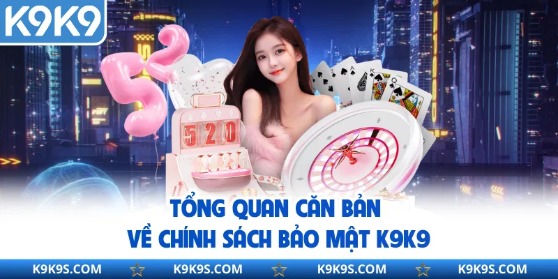 Tổng quan căn bản về chính sách bảo mật K9K9