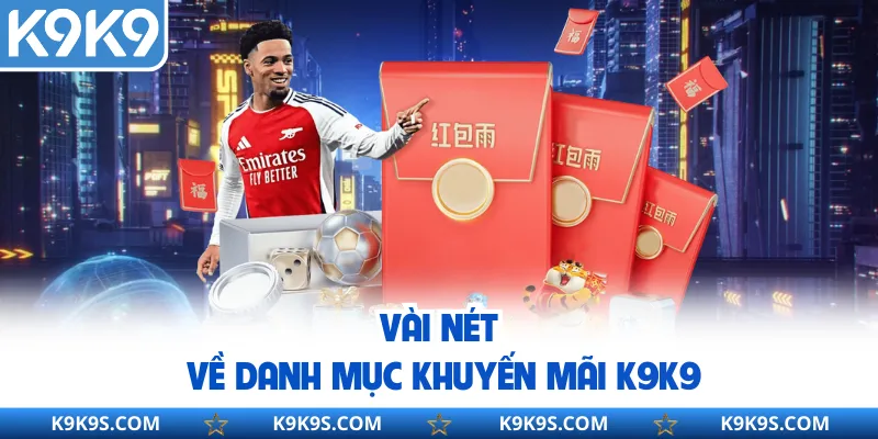 Vài nét về danh mục khuyến mãi K9K9